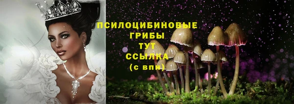 трава Надым