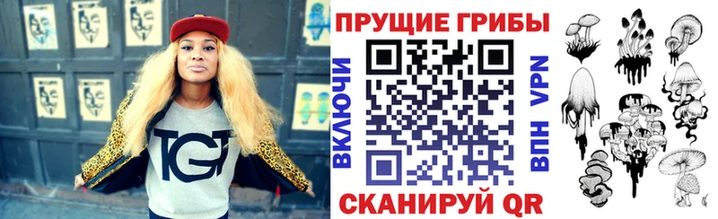 Купить  Карабаново  Галлюциногенные грибы Psilocybine cubensis 
